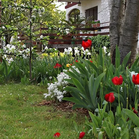 Apartamento With A Parking Space Malinska